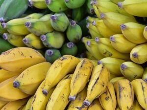 Buy bananawith Ceylon analytics.Buy bananawith Ceylon analytics.