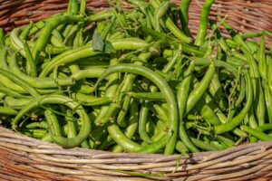 How to grow beans vegetables ceylon analytics