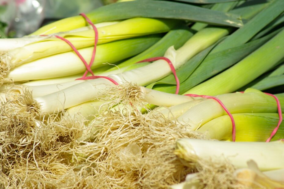 How to grow the best leeks. successfully in Ceylon analytics